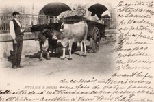 Cpa precurseurs 1907 d'occasion  Nîmes