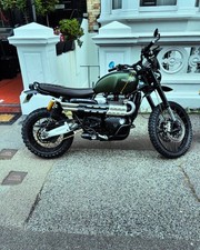 triumph 1200 scrambler xc for sale  HOVE