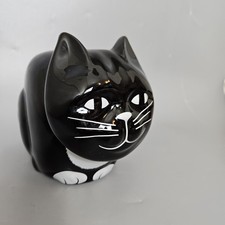Black tuxedo cat for sale  BANBURY