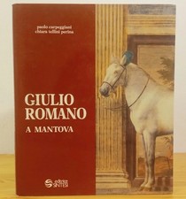 sintesi mantova usato sintesi mantova usato Roma