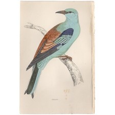 Morris antique bird for sale  Chicago