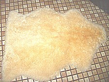 teppich leder gebraucht kaufen teppich leder gebraucht kaufen Deutschland