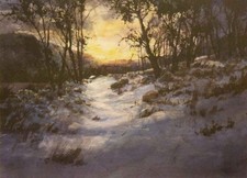 Tom lynch morning for sale  Milwaukee