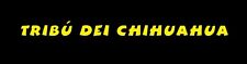 Stickers vr46 valentino d'occasion  Saint-Julien-Chapteuil