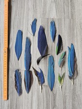 Blau grün makeln gebraucht kaufen  Haarbach
