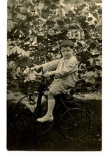 Cute little boy for sale  Pinetop