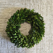 Preserved small boxwood for sale  North Bergen
