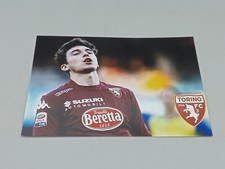 Fotografia originale torino usato  Villar Focchiardo