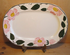 Villeroy boch wilde gebraucht kaufen  Braunschweig
