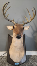 Vintage gemmy talking for sale  Rogersville