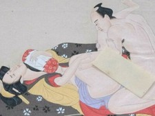 Shunga pillow erotic for sale  OSWESTRY