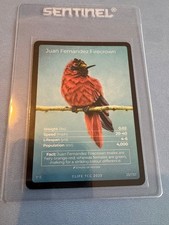 Life tcg birds for sale  HARROW