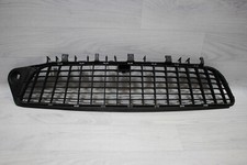 Stoßstangengrill gitter 23926 gebraucht kaufen  Schwaigern