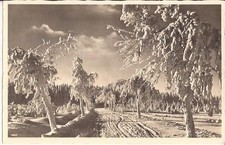 Altenberg erzgebirge winterspo gebraucht kaufen  Orbis, Gauersheim, Mauchenheim