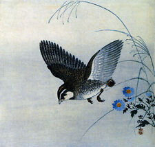 Quail flight 22x30 for sale  Cambria