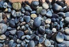 1.2kg blue galaxy for sale  UK