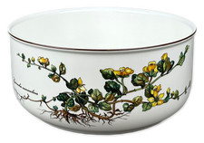 Villeroy boch botanica d'occasion  Expédié en Belgium