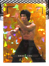 2024 bruce lee for sale  Livingston