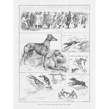 Coursing scenes waterloo for sale  GLASGOW
