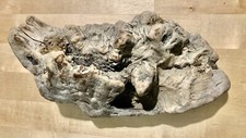 Nice wood burl for sale  Everson