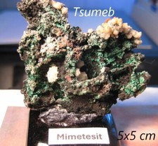Klasse kleinstufe mimetesit gebraucht kaufen  Krefeld