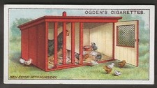 Ogdens poultry rearing for sale  COLNE