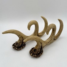 Antler deer faux for sale  Orange