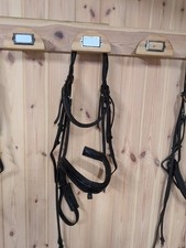 Padded gfs bridle for sale  MARKET DRAYTON