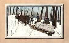 Gathering sap maple for sale  Whitinsville
