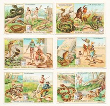 Liebig sammelbilder giftschlan gebraucht kaufen  Seubersdorf