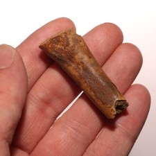 Interesting round dinosaur for sale  Isabel