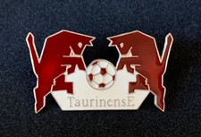 Torino calcio distintivo usato  Italia