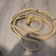 Bull riding poly for sale  Philadelphia
