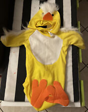 Vestito carnevale pulcino usato  Vittuone