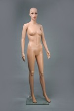 Damen schaufensterpuppe hautfa gebraucht kaufen Damen schaufensterpuppe hautfa gebraucht kaufen  Dorsten