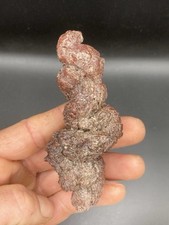 4.21 coprolite poo d'occasion  Montpellier-