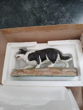 Rare ready border for sale  LEICESTER