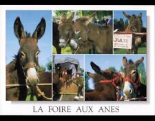 Lignieres foire anes d'occasion  Baugy