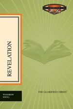 Revelation glorified christ for sale  Depew
