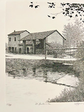 Pavia agostino zaliani usato  Italia
