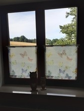 Scheibengardine set buntem gebraucht kaufen  Deutschland