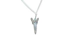 Tiger shark tooth for sale  Saint Charles