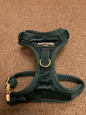 Green velvet dog for sale  HIGH WYCOMBE