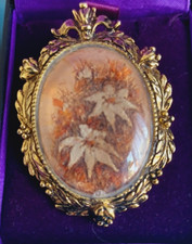 Vintage dried pressed for sale  HIGHBRIDGE