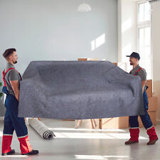 Vevor coperte protettive usato  Lonate Pozzolo