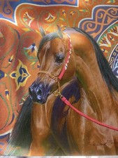 Arab horse painting for sale  ANDOVER