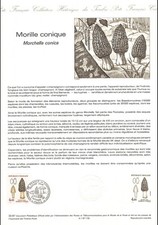 Document officiel 1987 d'occasion  Crécy-la-Chapelle