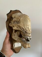 Oddities cabinet curiosités d'occasion  Aiglun