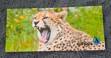 Xxl tier postkarte gebraucht kaufen  Hamburg