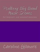 Psaltery big band for sale  DERBY